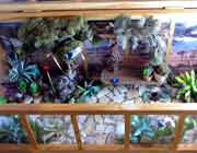 Diorama Old World meets New World