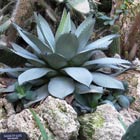 welcome intro picture