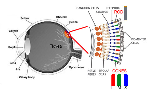 eye diagram