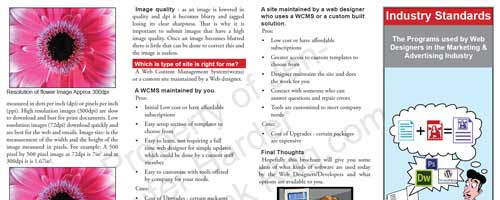 Industry Standards- The Programs Used by Web Designer