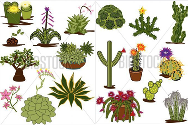 First Porfolio Image