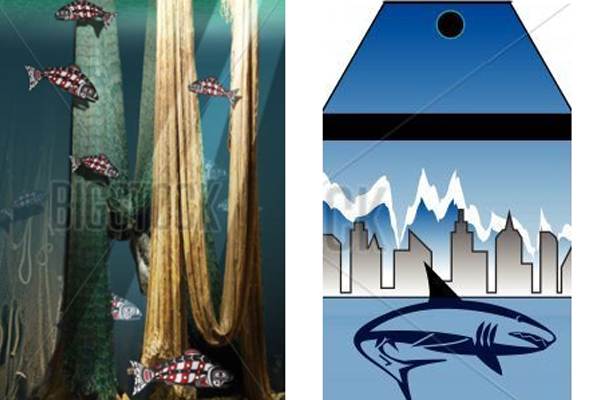 Third Portfolio Image