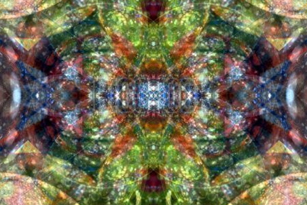 Forth Portfolio Image